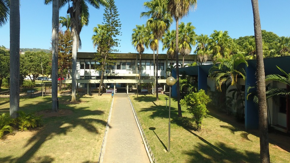 timóteo